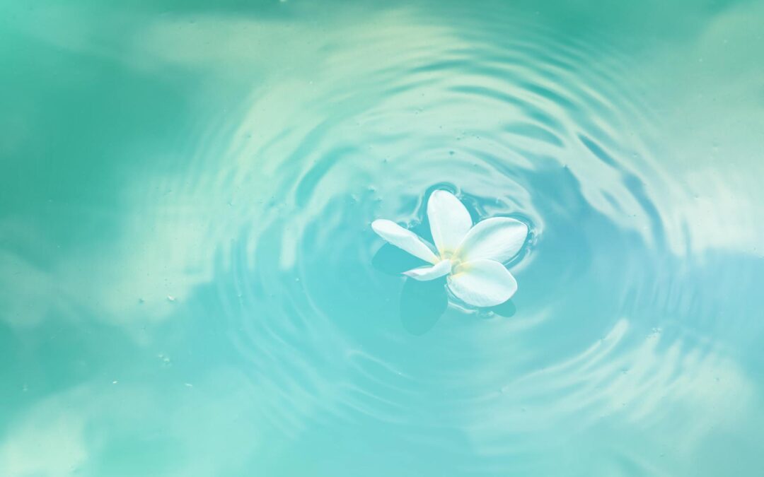 Que tu boca sea un canal de bendición