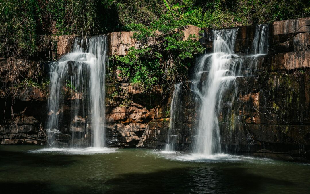 Tomando buenas decisiones